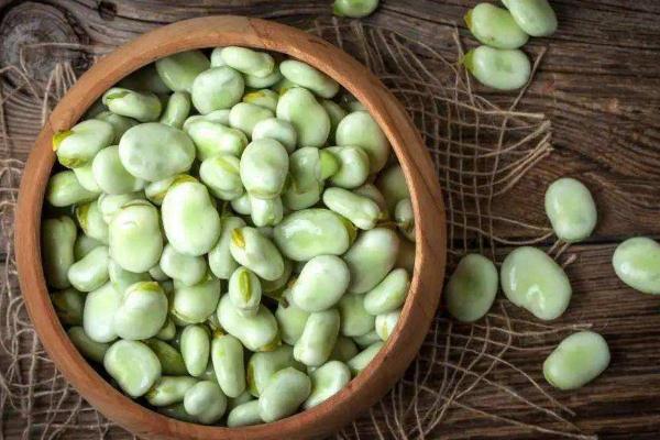 蠶豆是酸性食物還是堿性食物 蠶豆要煮多久才熟 蠶豆是酸性食物還是堿性食物 蠶豆要煮多久才熟