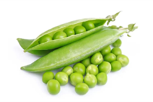 青豆要煮多久才熟 青豆不熟會(huì)中毒嗎 青豆要煮多久才熟 青豆不熟會(huì)中毒嗎