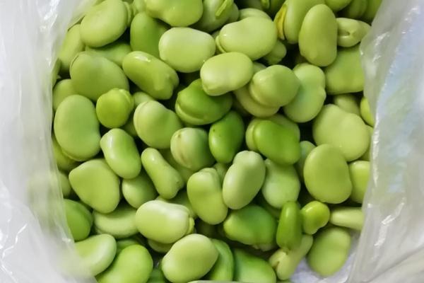 蠶豆和什么一起炒好吃 蠶豆相克的食物 蠶豆和什么一起炒好吃 蠶豆相克的食物