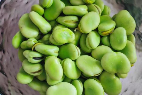 蠶豆孕婦可以吃嗎 蠶豆孕婦吃了好嗎 蠶豆孕婦可以吃嗎 蠶豆孕婦吃了好嗎