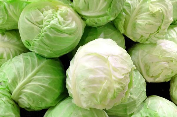 卷心菜有農(nóng)藥殘留嗎 卷心菜有土腥味正常嗎 卷心菜有農(nóng)藥殘留嗎 卷心菜有土腥味正常嗎
