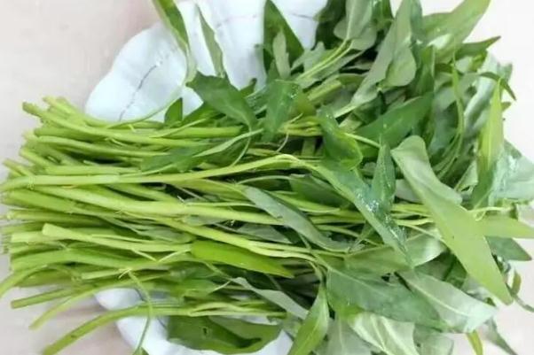 通心菜作用與功效 通心菜為什么叫抽筋菜 通心菜作用與功效 通心菜為什么叫抽筋菜