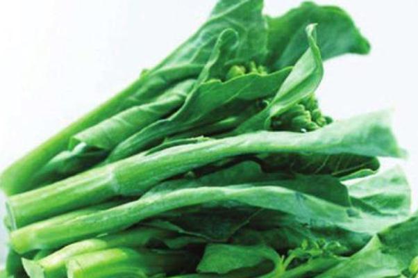 菜苔怎么保存時間更長 菜苔可以冷凍保存嗎 菜苔怎么保存時間更長 菜苔可以冷凍保存嗎