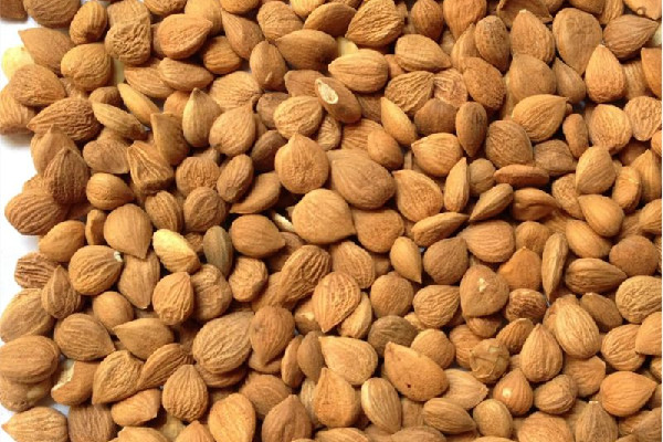 苦杏仁會導致流產嗎 ?苦杏仁對孕婦有影響嗎 苦杏仁會導致流產嗎 ?苦杏仁對孕婦有影響嗎