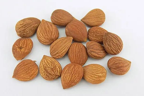 苦杏仁吃多了會(huì)死人嗎 苦杏仁吃多了會(huì)怎樣 苦杏仁吃多了會(huì)死人嗎 苦杏仁吃多了會(huì)怎樣