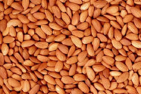 苦杏仁會導致流產嗎 ?苦杏仁對孕婦有影響嗎 苦杏仁會導致流產嗎 ?苦杏仁對孕婦有影響嗎