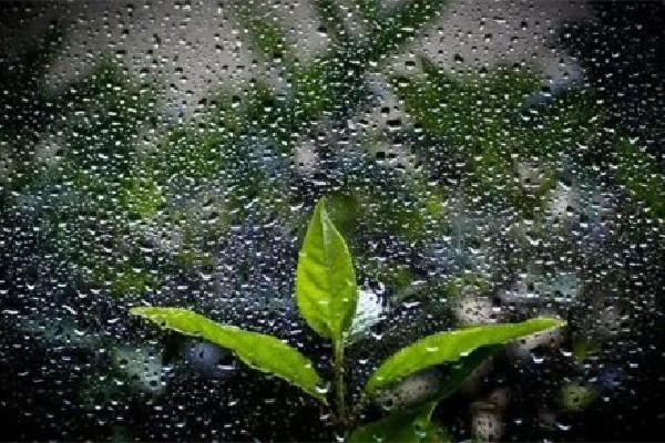 回南天用除濕機(jī)有用嗎 回南天怎么保持室內(nèi)干燥 回南天用除濕機(jī)有用嗎 回南天怎么保持室內(nèi)干燥