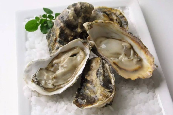 生蠔買回家怎么保存 生蠔可以冷凍起來保存嗎 生蠔買回家怎么保存 生蠔可以冷凍起來保存嗎
