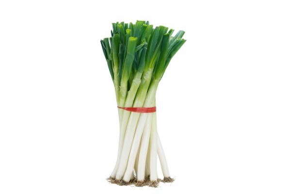 大蔥的葉子能吃嗎 大蔥是蔬菜嗎 大蔥的葉子能吃嗎 大蔥是蔬菜嗎