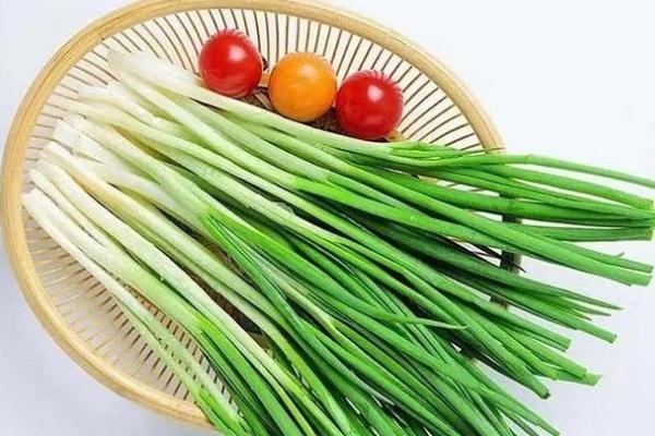 小蔥會(huì)開(kāi)花嗎 小蔥會(huì)上火嗎 小蔥會(huì)開(kāi)花嗎 小蔥會(huì)上火嗎