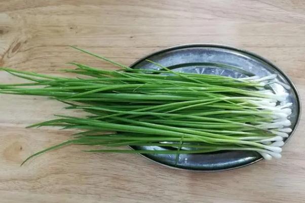 小蔥會(huì)開(kāi)花嗎 小蔥會(huì)上火嗎 小蔥會(huì)開(kāi)花嗎 小蔥會(huì)上火嗎