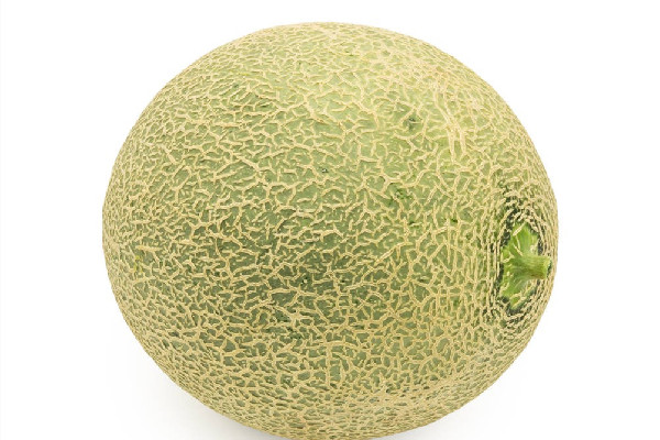 哈密瓜減肥期間可以吃嗎 哈密瓜適合什么時(shí)候吃 哈密瓜減肥期間可以吃嗎 哈密瓜適合什么時(shí)候吃