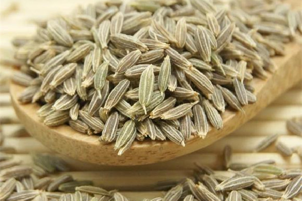 孜然是什么植物的種子 孜然是不是小茴香 孜然是什么植物的種子 孜然是不是小茴香