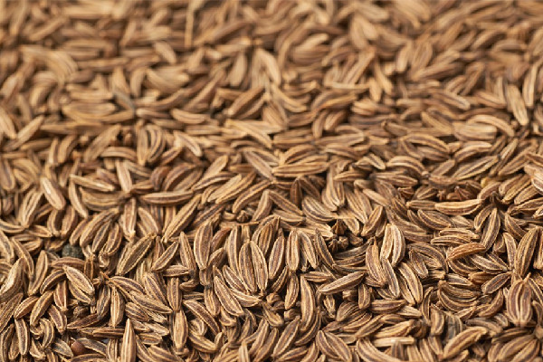 孜然粉吃多了對人體有害嗎 孜然粉一次放多少 孜然粉吃多了對人體有害嗎 孜然粉一次放多少