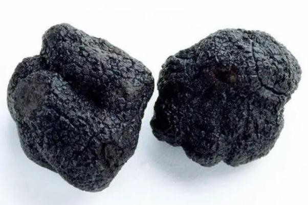 黑松露有味道嗎 黑松露有毒性嗎 黑松露有味道嗎 黑松露有毒性嗎