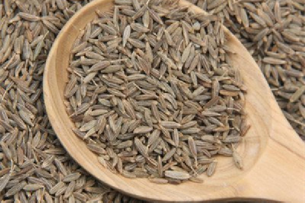 孜然是什么植物的種子 孜然是不是小茴香 孜然是什么植物的種子 孜然是不是小茴香