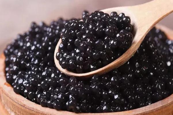 魚(yú)子醬的功效與作用 魚(yú)子醬是什么魚(yú)的卵 魚(yú)子醬的功效與作用 魚(yú)子醬是什么魚(yú)的卵