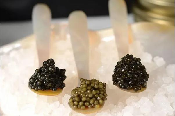 魚子醬為什么那么貴 魚子醬為什么放手上吃 魚子醬為什么那么貴 魚子醬為什么放手上吃