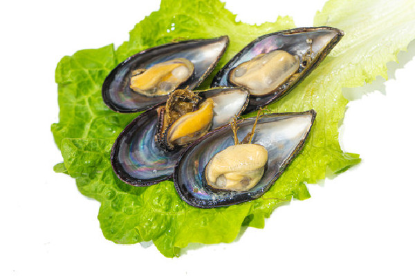 海虹的嘌呤含量是多少 海虹不新鮮能吃嗎 海虹的嘌呤含量是多少 海虹不新鮮能吃嗎