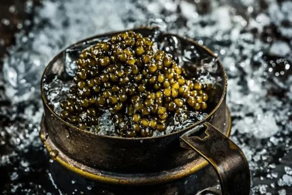 魚子醬要冷凍還是冷藏 魚子醬要殺魚嗎 魚子醬要冷凍還是冷藏 魚子醬要殺魚嗎