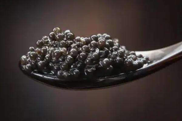 魚子醬有腥味嗎 魚子醬有保質期嗎 魚子醬有腥味嗎 魚子醬有保質期嗎