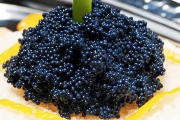 魚子醬是魚籽做的嗎 魚子醬要放在虎口上吃嗎 魚子醬是魚籽做的嗎 魚子醬要放在虎口上吃嗎