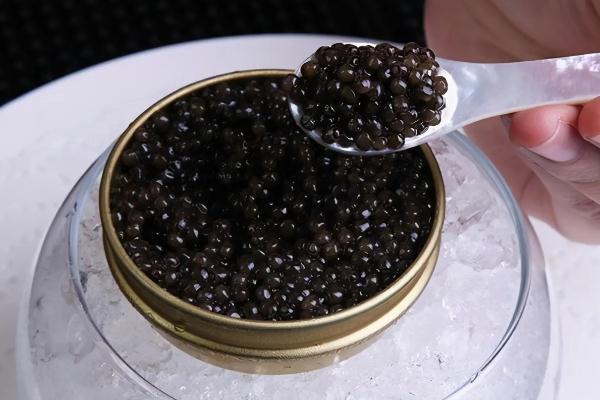 魚(yú)子醬的功效與作用 魚(yú)子醬是什么魚(yú)的卵 魚(yú)子醬的功效與作用 魚(yú)子醬是什么魚(yú)的卵