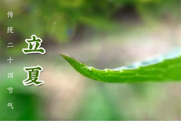 立夏吃蛋的風(fēng)俗由來(lái) 立夏吃咸鴨蛋的寓意 立夏吃蛋的風(fēng)俗由來(lái) 立夏吃咸鴨蛋的寓意