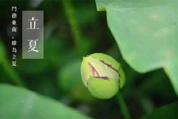 立夏后天氣還會冷嗎 立夏后多久開始熱 立夏后天氣還會冷嗎 立夏后多久開始熱