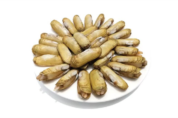 蟶子屬于貝類嗎 蟶子是海里的還是河里的 蟶子屬于貝類嗎 蟶子是海里的還是河里的