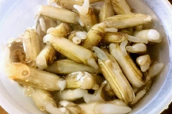 蟶子要吐沙嗎 蟶子怎么吐沙子干凈 蟶子要吐沙嗎 蟶子怎么吐沙子干凈