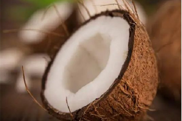 椰子可以常溫存放嗎 椰子放了一個月還能喝嗎 椰子可以常溫存放嗎 椰子放了一個月還能喝嗎