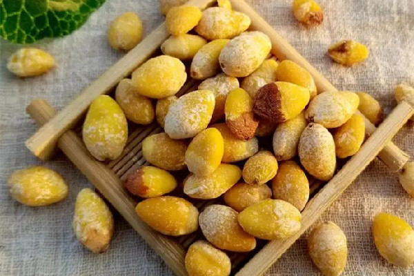 白果吃生的好還是熟的好 白果生的可以吃嗎 白果吃生的好還是熟的好 白果生的可以吃嗎