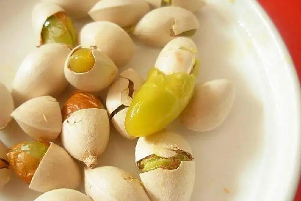 白果可以燉雞湯嗎 白果煲湯一次放多少 白果可以燉雞湯嗎 白果煲湯一次放多少