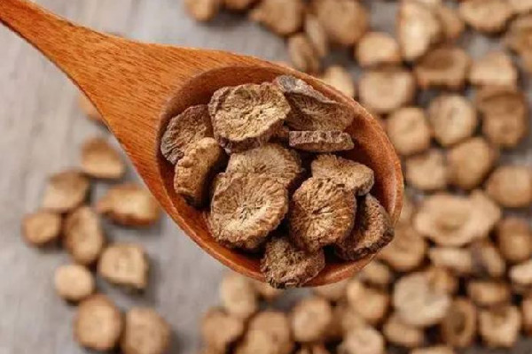 牛蒡茶保質(zhì)期是幾年 牛蒡茶放了五年還能喝嗎 牛蒡茶保質(zhì)期是幾年 牛蒡茶放了五年還能喝嗎