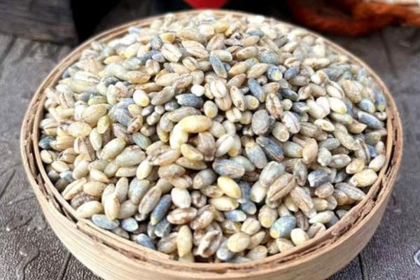 青稞米的功效與作用 青稞米怎么吃 青稞米的功效與作用 青稞米怎么吃