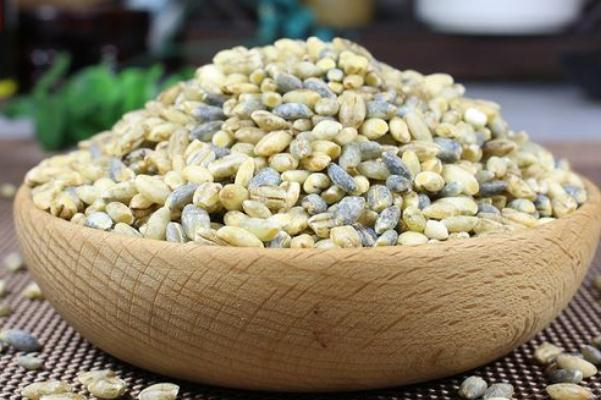 青稞米會(huì)胖嗎 青稞發(fā)霉的顏色 青稞米會(huì)胖嗎 青稞發(fā)霉的顏色