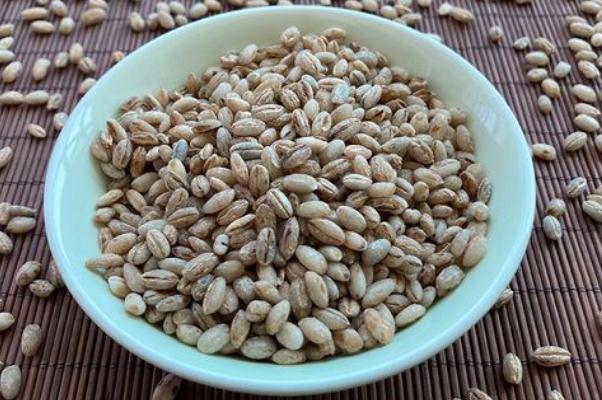 青稞米孕婦可以吃嗎 青稞米孕婦和坐月子可以吃嗎 青稞米孕婦可以吃嗎 青稞米孕婦和坐月子可以吃嗎