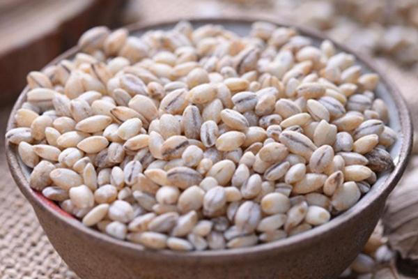 青稞米會(huì)胖嗎 青稞發(fā)霉的顏色 青稞米會(huì)胖嗎 青稞發(fā)霉的顏色