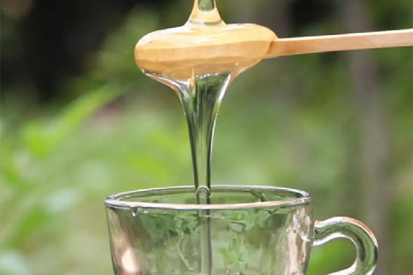 洋槐蜜多少錢一斤 洋槐蜜和蜂蜜有什么區(qū)別 洋槐蜜多少錢一斤 洋槐蜜和蜂蜜有什么區(qū)別