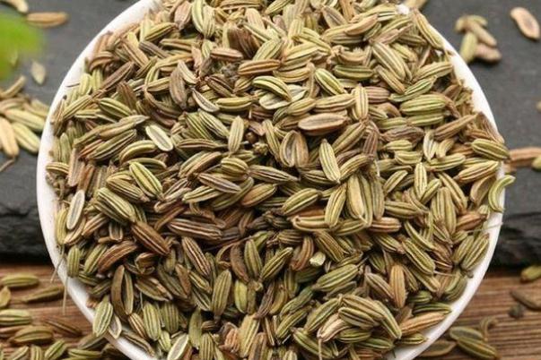 茴香的功效與作用禁忌 小茴香和孜然一樣嗎 茴香的功效與作用禁忌 小茴香和孜然一樣嗎