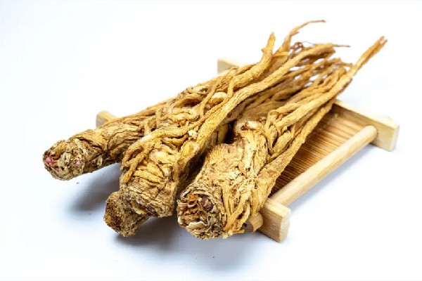 當歸和什么搭配補氣血最好 當歸和天麻可以一起燉雞嗎 當歸和什么搭配補氣血最好 當歸和天麻可以一起燉雞嗎