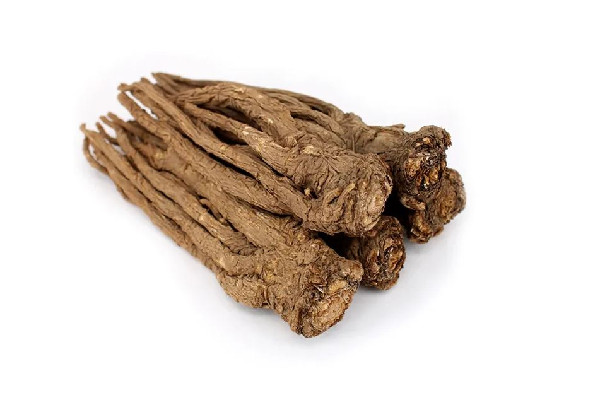 當歸和什么搭配補氣血最好 當歸和天麻可以一起燉雞嗎 當歸和什么搭配補氣血最好 當歸和天麻可以一起燉雞嗎