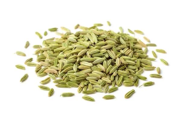 茴香的功效與作用禁忌 小茴香和孜然一樣嗎 茴香的功效與作用禁忌 小茴香和孜然一樣嗎