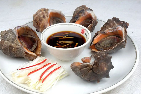 大海螺怎么挑選 大海螺買回家怎么處理 大海螺怎么挑選 大海螺買回家怎么處理