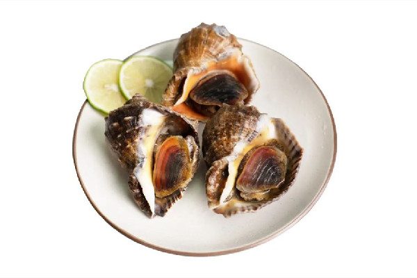 大海螺開鍋蒸幾分鐘好 大海螺蒸還是煮著好吃 大海螺開鍋蒸幾分鐘好 大海螺蒸還是煮著好吃