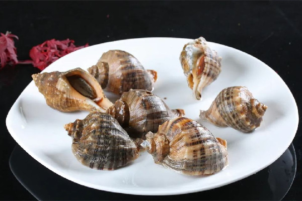 大海螺開鍋蒸幾分鐘好 大海螺蒸還是煮著好吃 大海螺開鍋蒸幾分鐘好 大海螺蒸還是煮著好吃