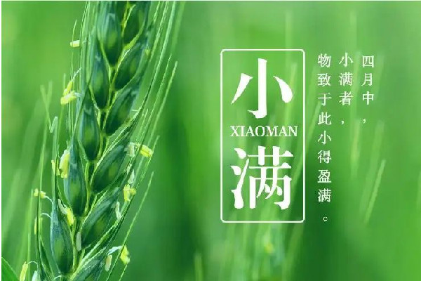 小滿是春天還是夏天 小滿的來歷和風俗 小滿是春天還是夏天 小滿的來歷和風俗