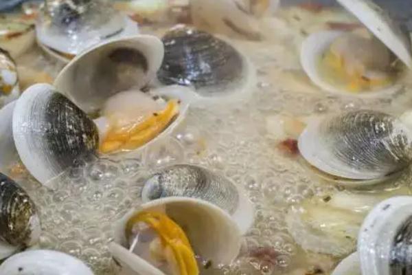 蛤蜊的內(nèi)臟如何去除 蛤蜊的種類 蛤蜊的內(nèi)臟如何去除 蛤蜊的種類