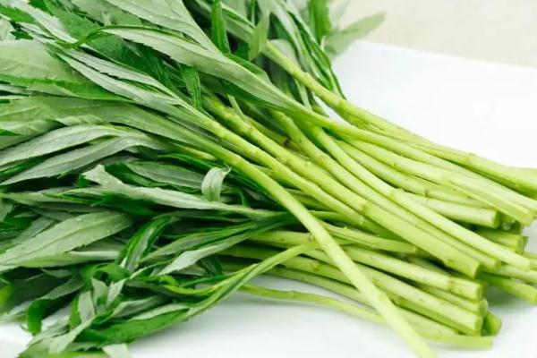 藜蒿的嘌呤高嗎 藜蒿是哪里特產(chǎn) 藜蒿的嘌呤高嗎 藜蒿是哪里特產(chǎn)